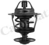 CALORSTAT by Vernet TH3348.83 Thermostat, coolant